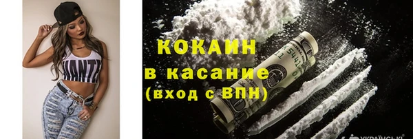 apvp Бородино