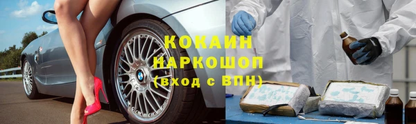 бошки Бронницы