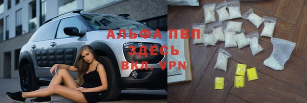 apvp Бородино