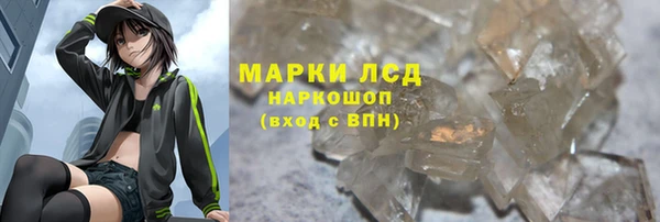 apvp Бородино