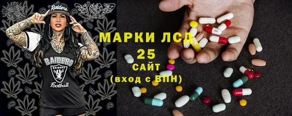 apvp Бородино