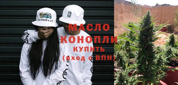 apvp Бородино