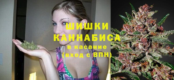 бошки Бронницы