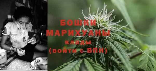 бошки Бронницы